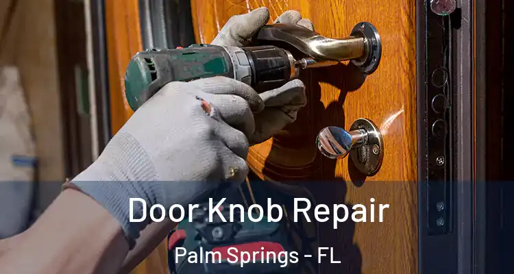  Door Knob Repair Palm Springs - FL