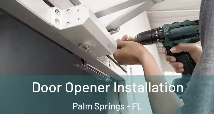  Door Opener Installation Palm Springs - FL