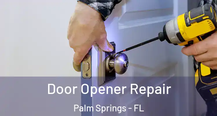  Door Opener Repair Palm Springs - FL
