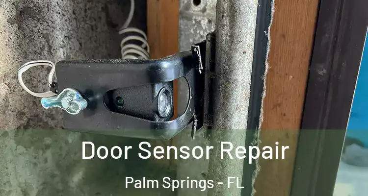  Door Sensor Repair Palm Springs - FL