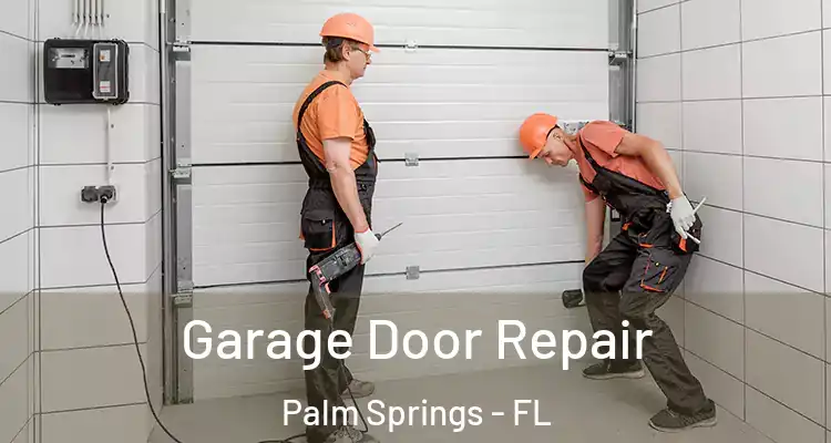  Garage Door Repair Palm Springs - FL