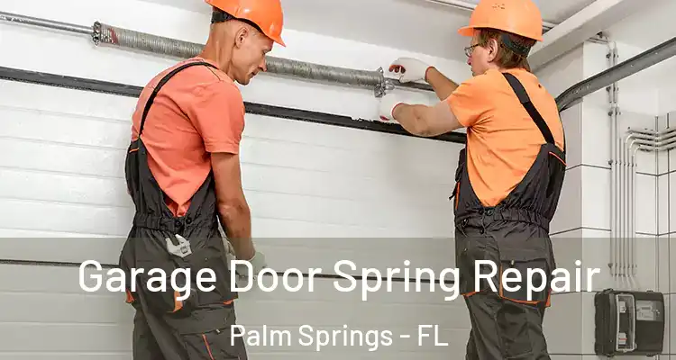  Garage Door Spring Repair Palm Springs - FL