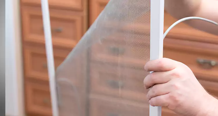 Privacy Mesh Screen Door Installation in Palm Springs, FL