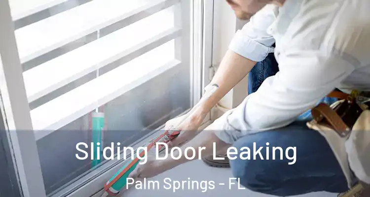  Sliding Door Leaking Palm Springs - FL